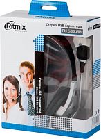 RITMIX RH-533USB Silver