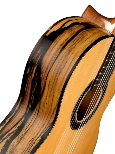 ALHAMBRA 8.891V Classical Conservatory 6 White Ebony фото 8